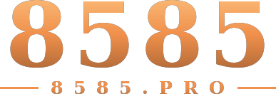 8585 logo